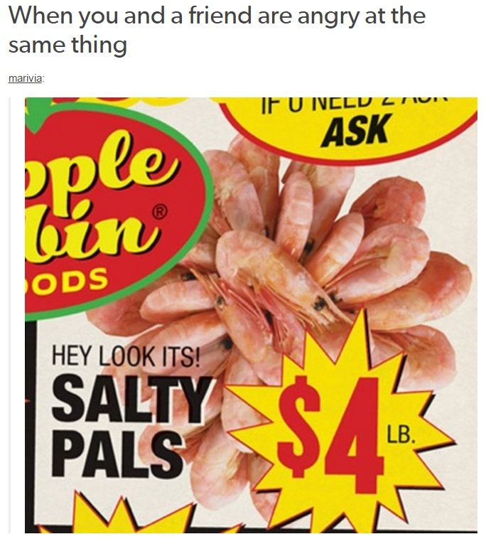 Shrimpposting