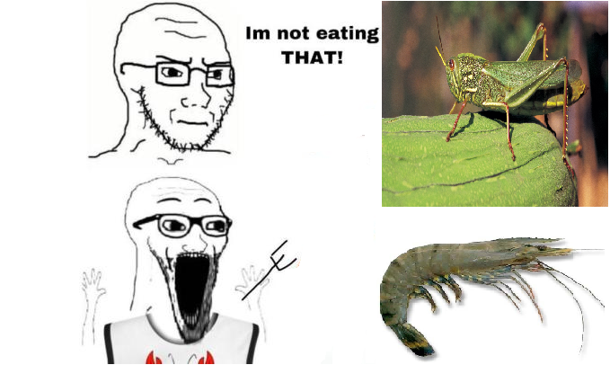Bugs are gross unless they live underwater, then they're good
