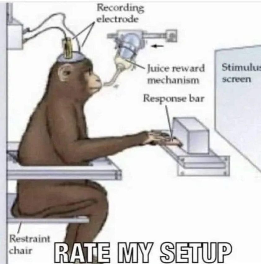 ‎‎‎‎
