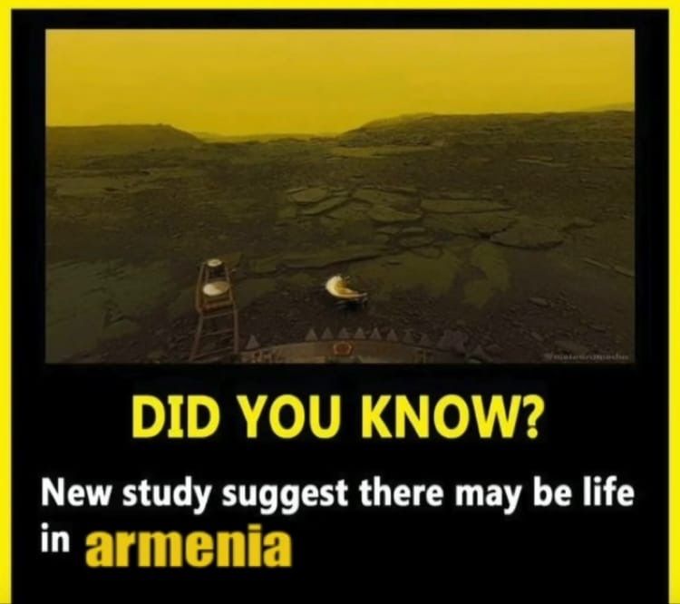 damn