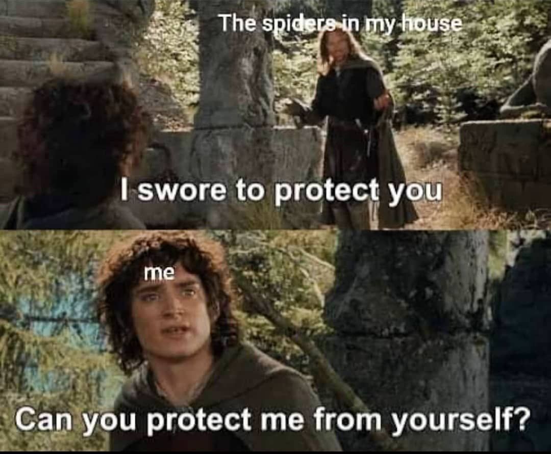 spiders are frens