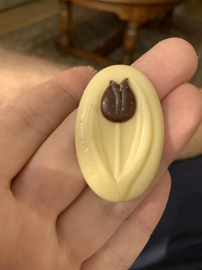 My grandma offered me this chocolate. A tulip wasn't the first thing I saw.