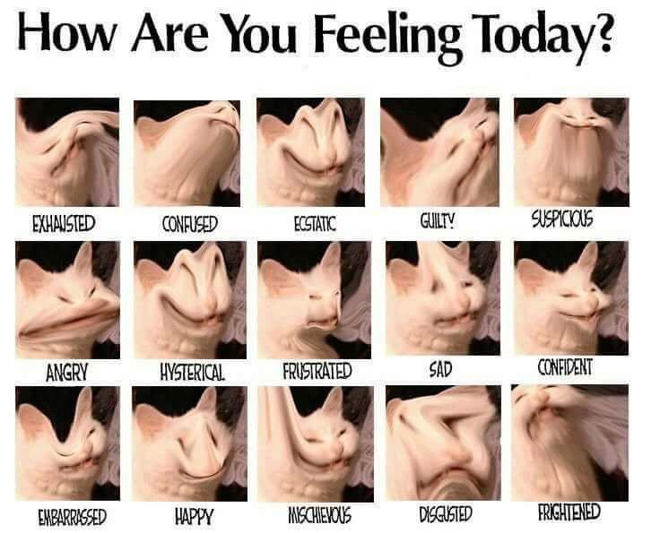 ***