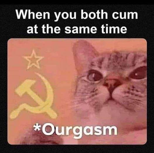communist cat