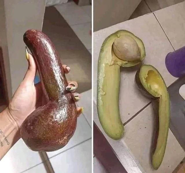 Found an avocado today……