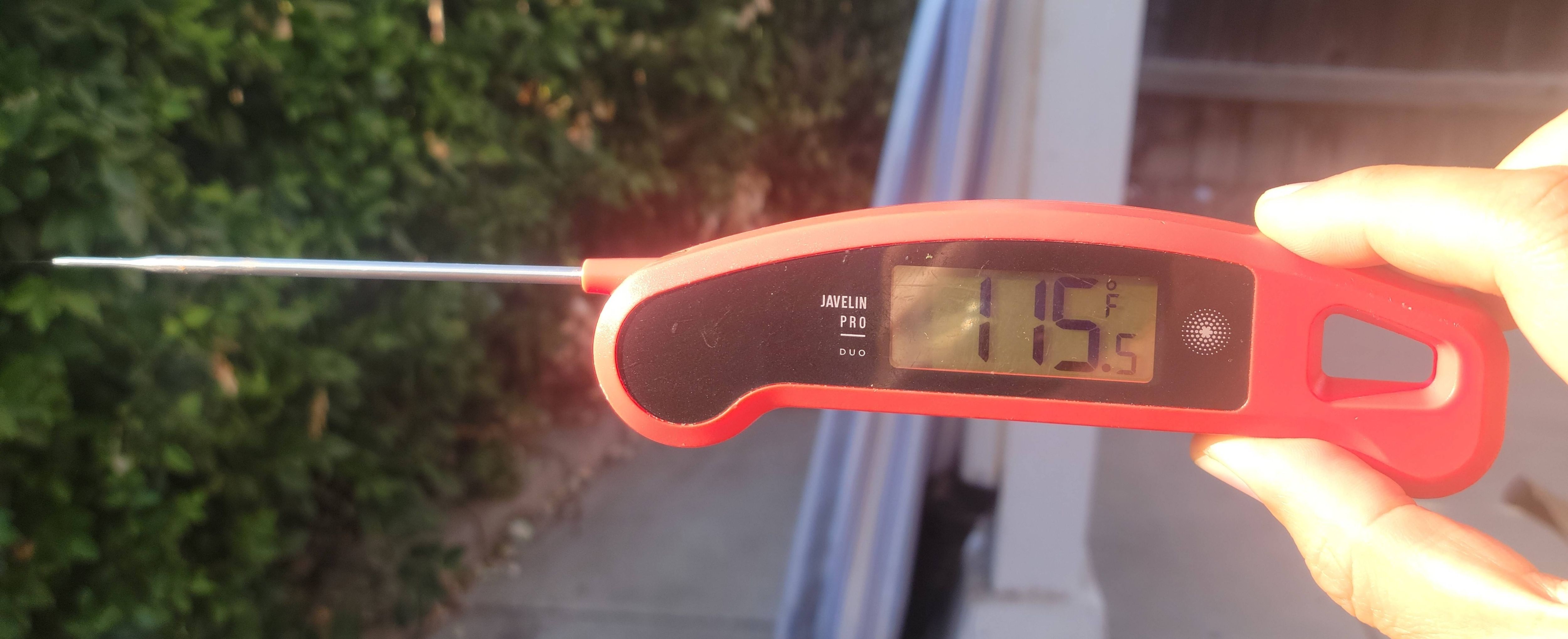 California is so hot you can use your meat thermometer to check the weather
