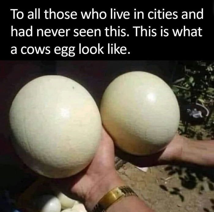 And chickens have milk.