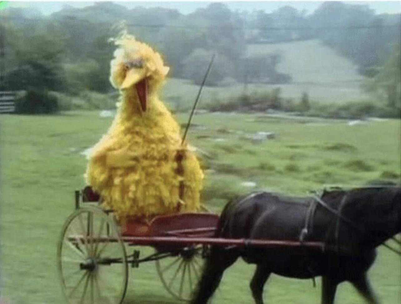 An Emu mocks an enslaved Australian POW from his carriage during The Great Emu War