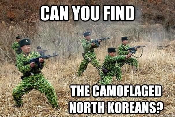 Can you find camoflaged north Koreans?