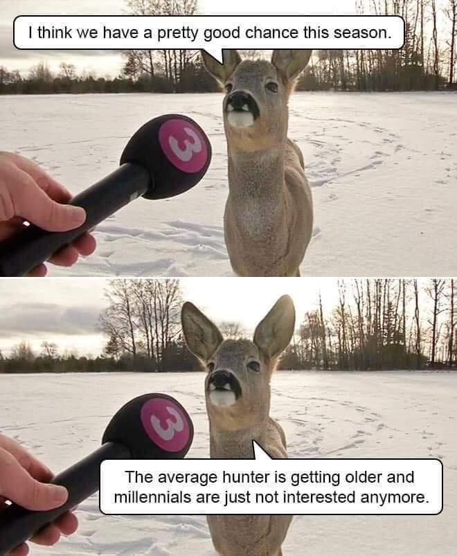 Deer giving interview