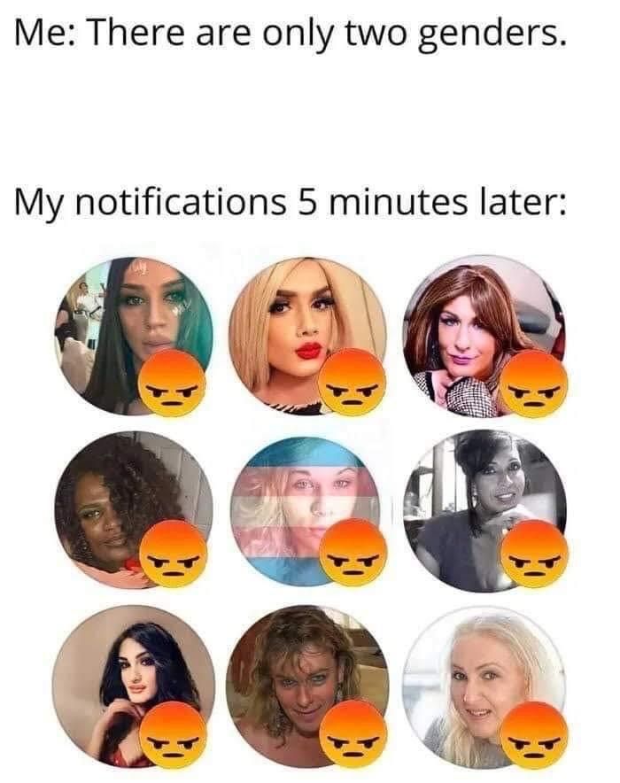 *angry reacts only*