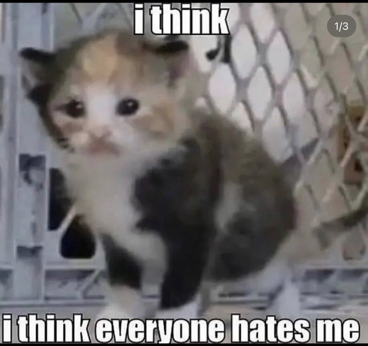 Why?