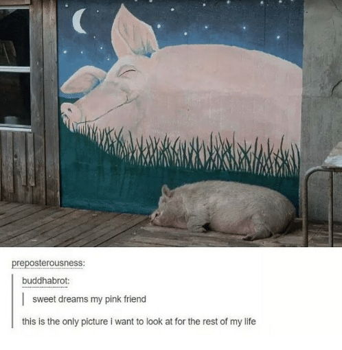 wholesome post