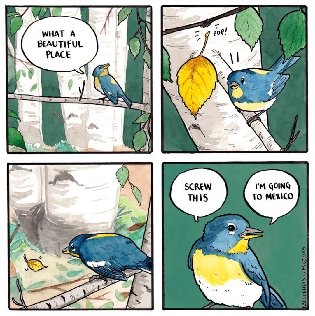 To Mexico