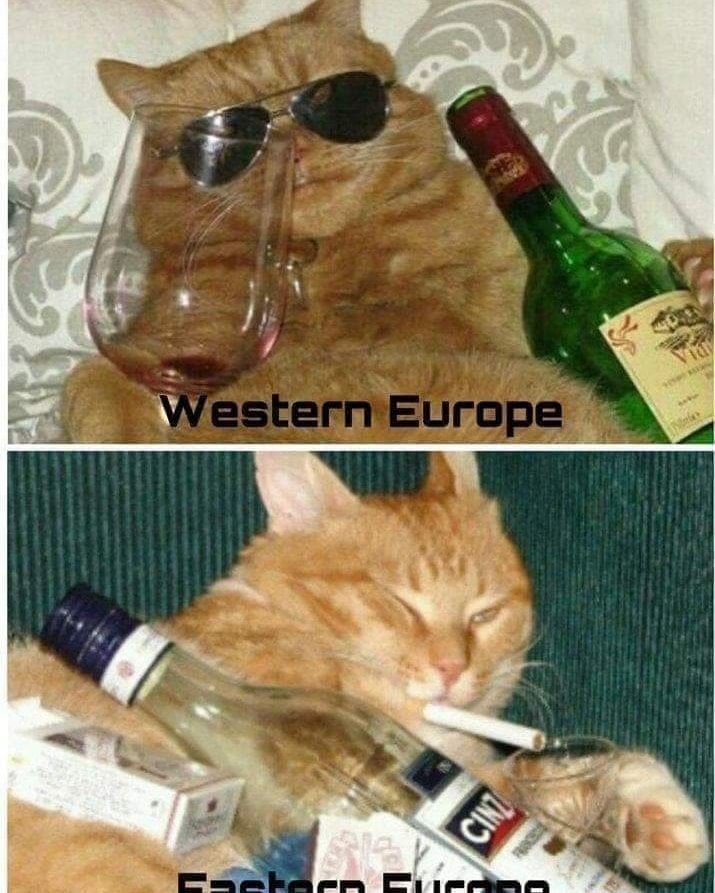 That's how it do be, lads