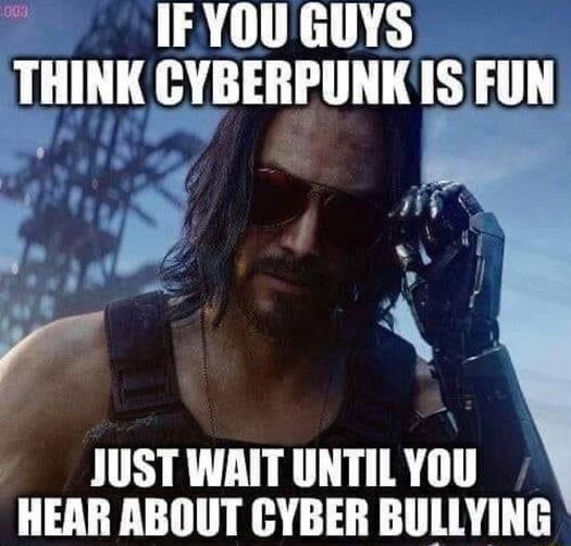 if cyberpunk wasnt fun, then neither was bullying
