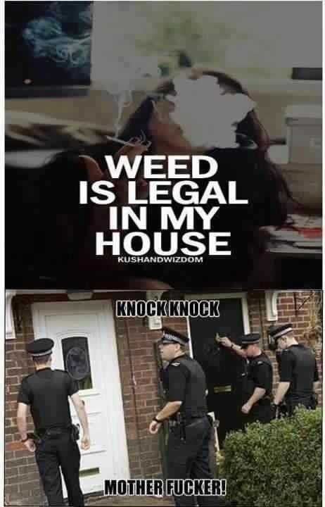 Knock knock