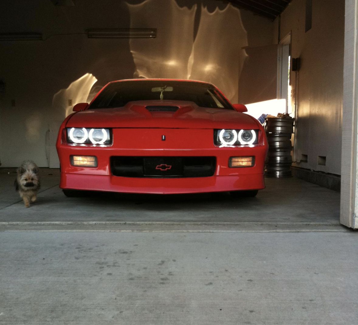 Why does this car look like it is saying “UwU”?