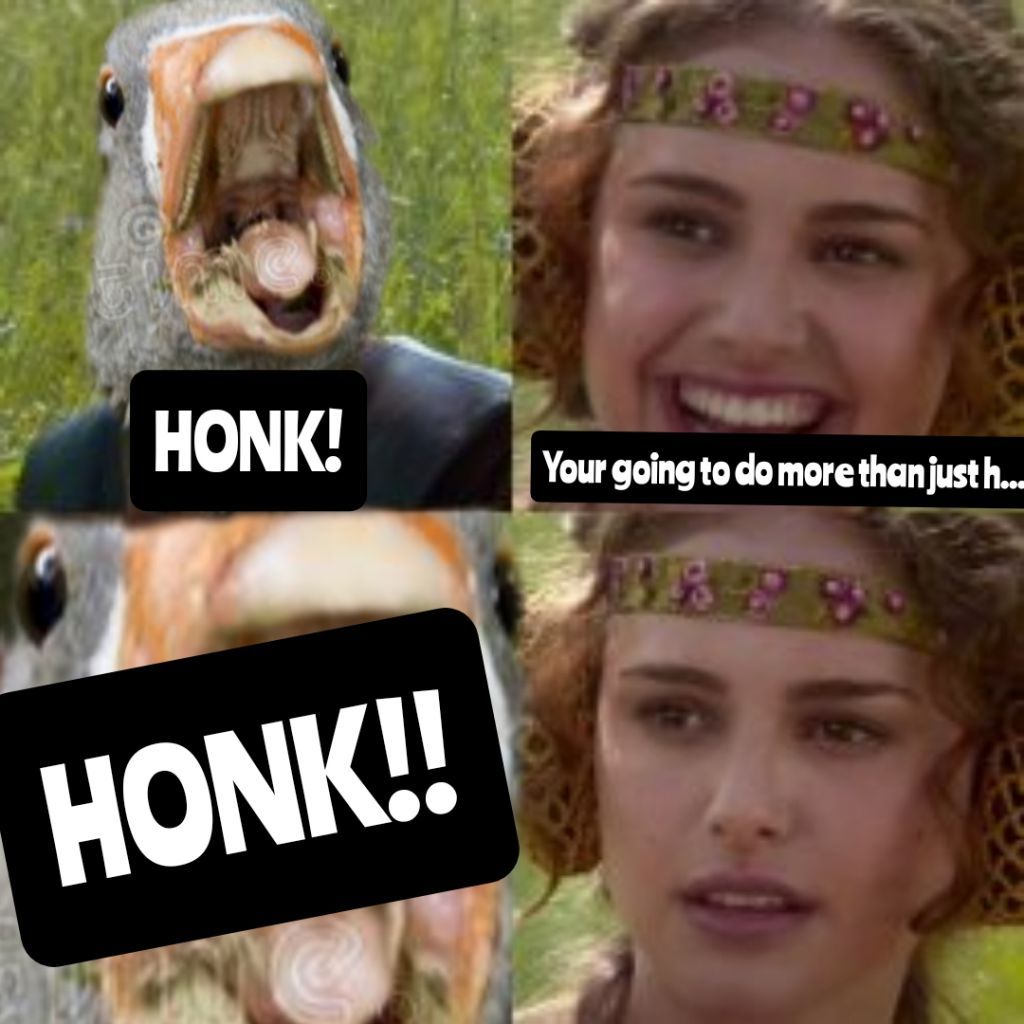 …