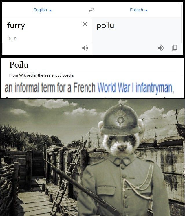 poilu