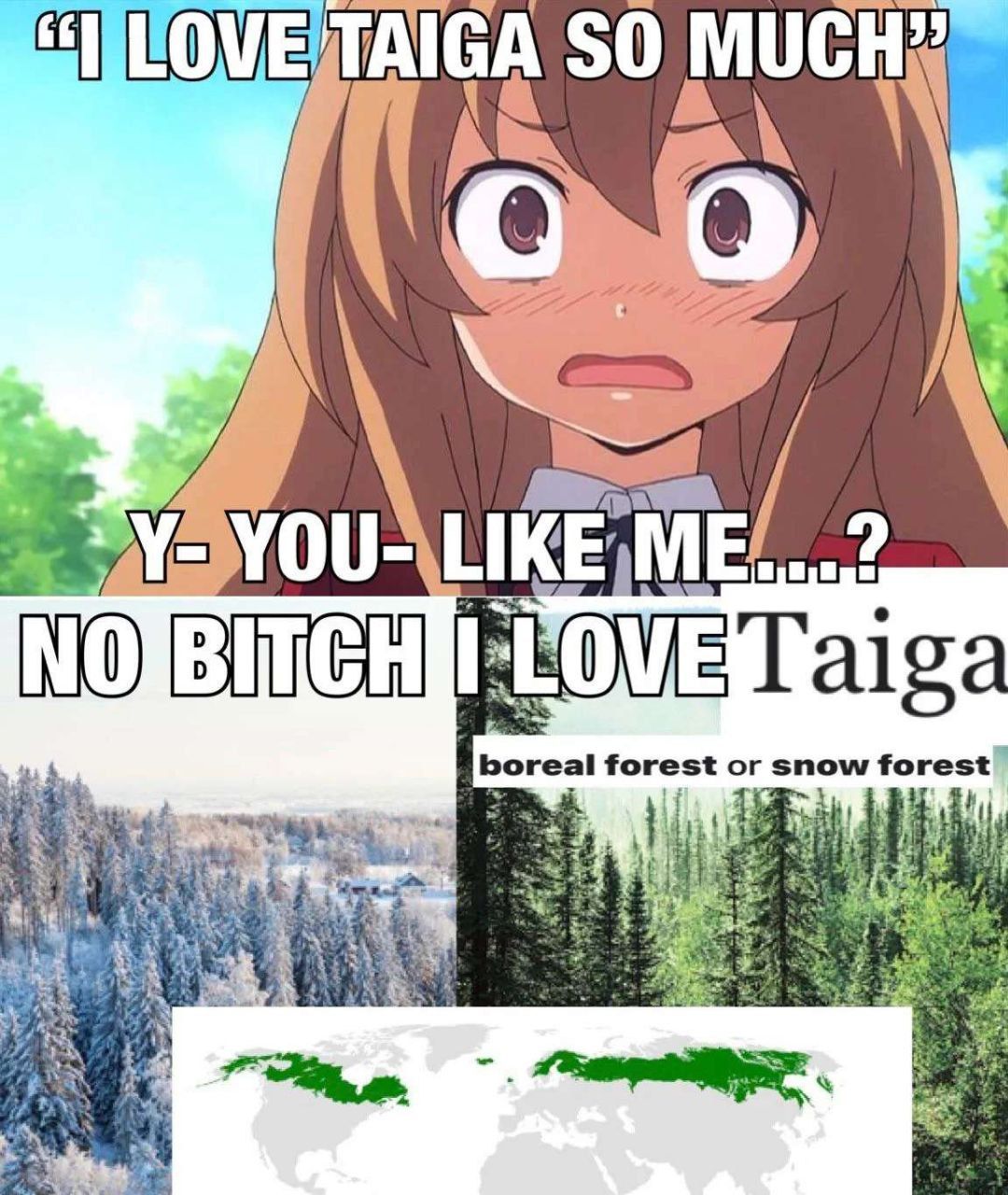 Best Biome