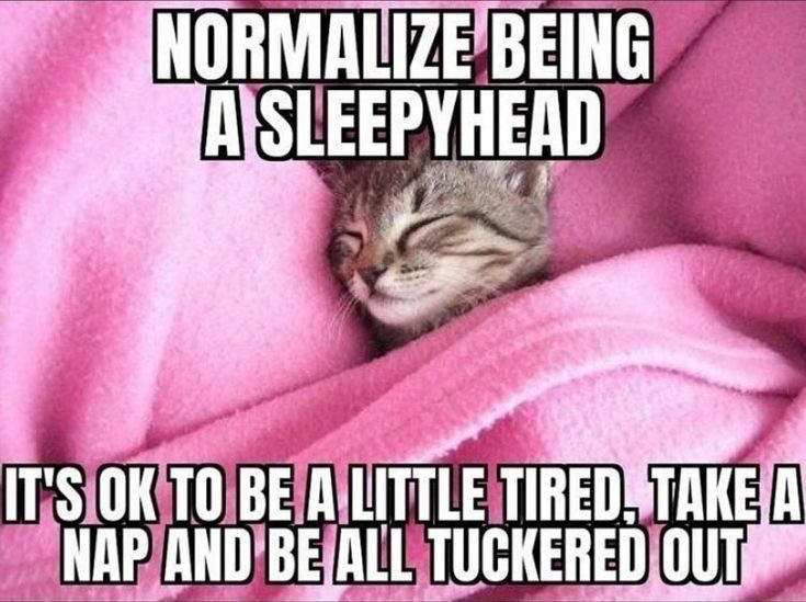 Sleepy
