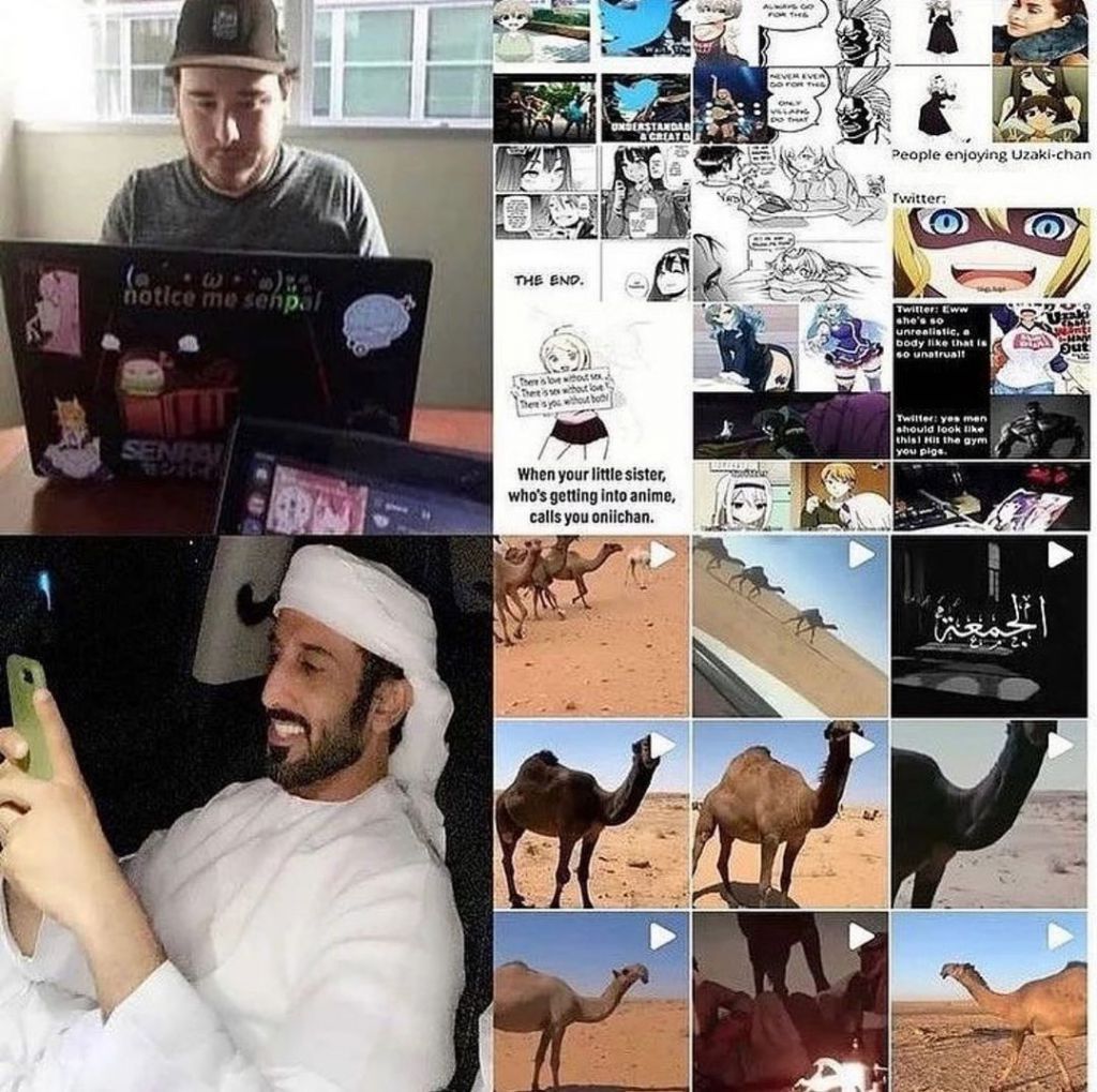 . D.