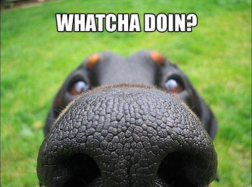 Hey YOU!