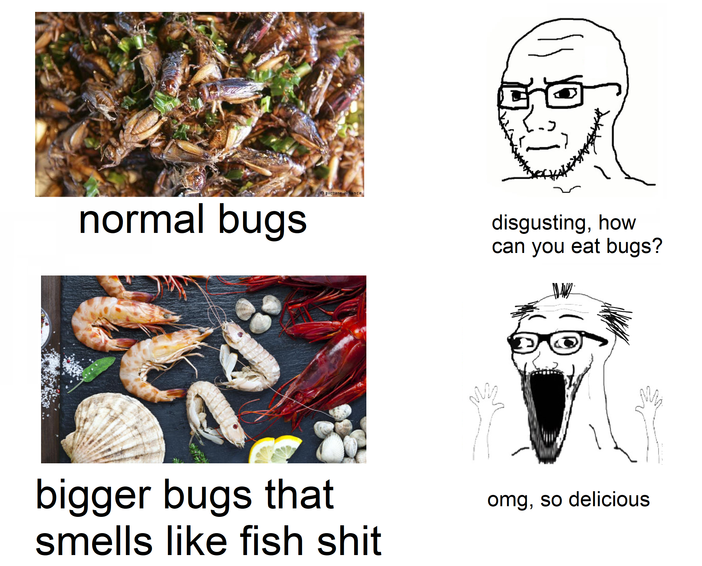 big bugs