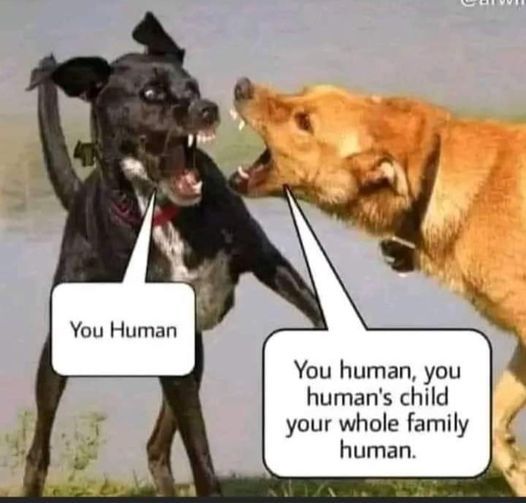 yo mama