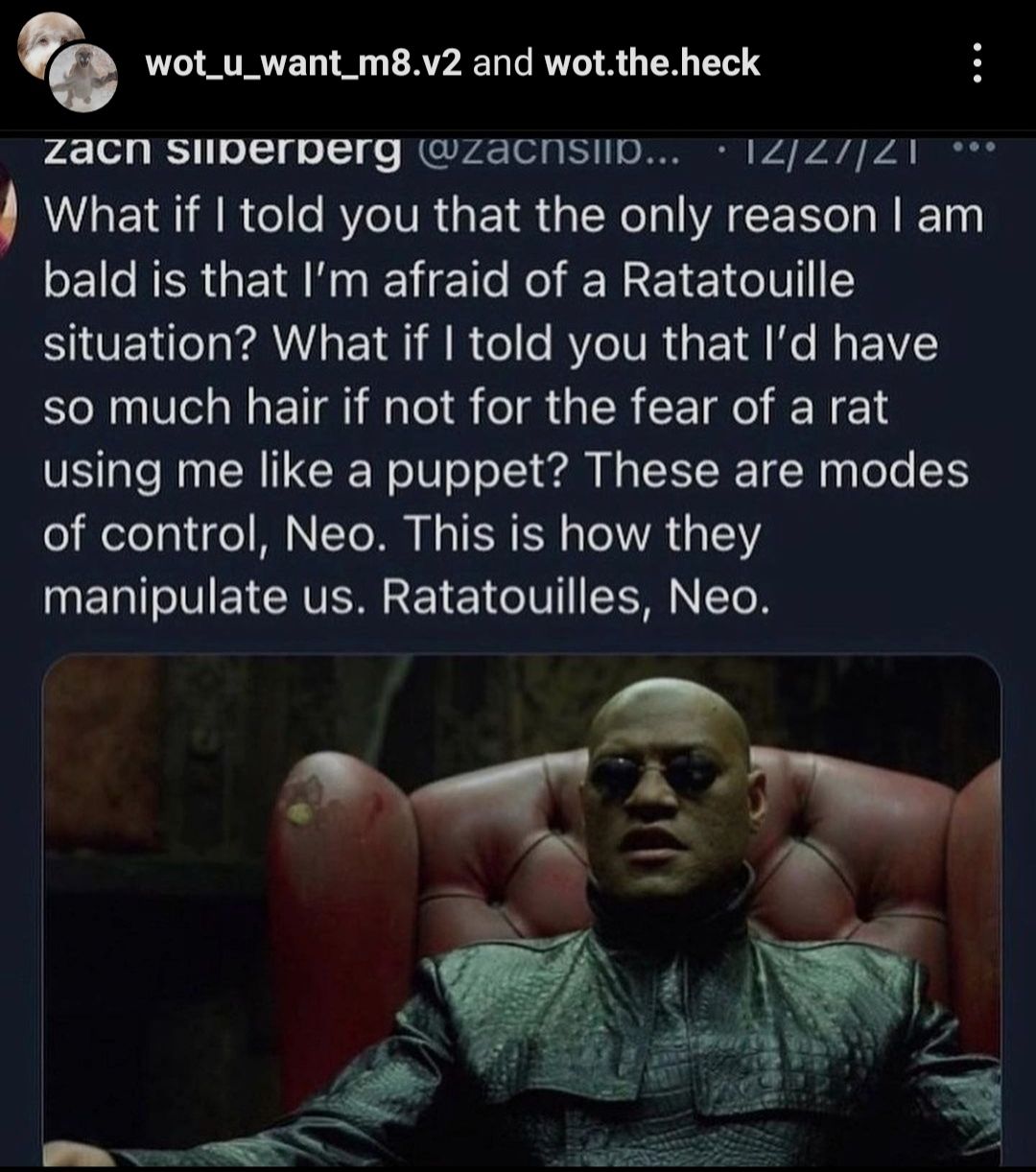 Rata
