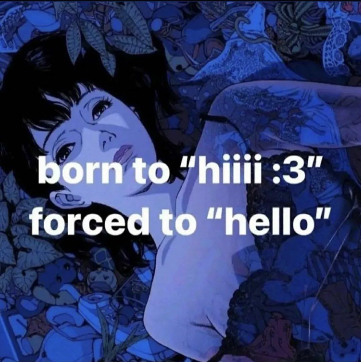 hiiii :3