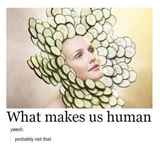 Humans are the only animals that can shitpost