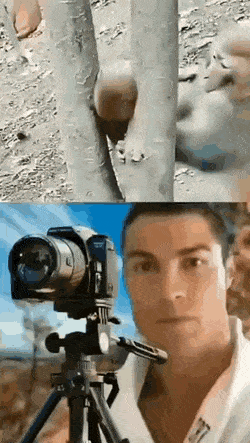 Cameramen work in mysterious ways