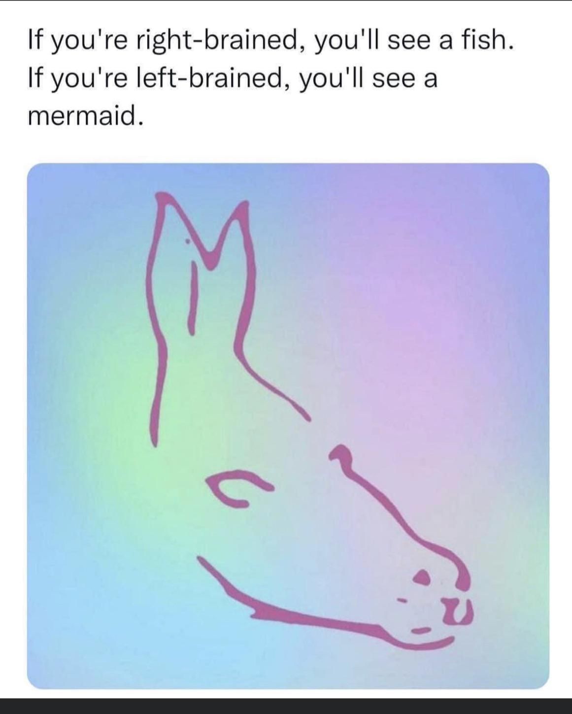 its clearly a fish
