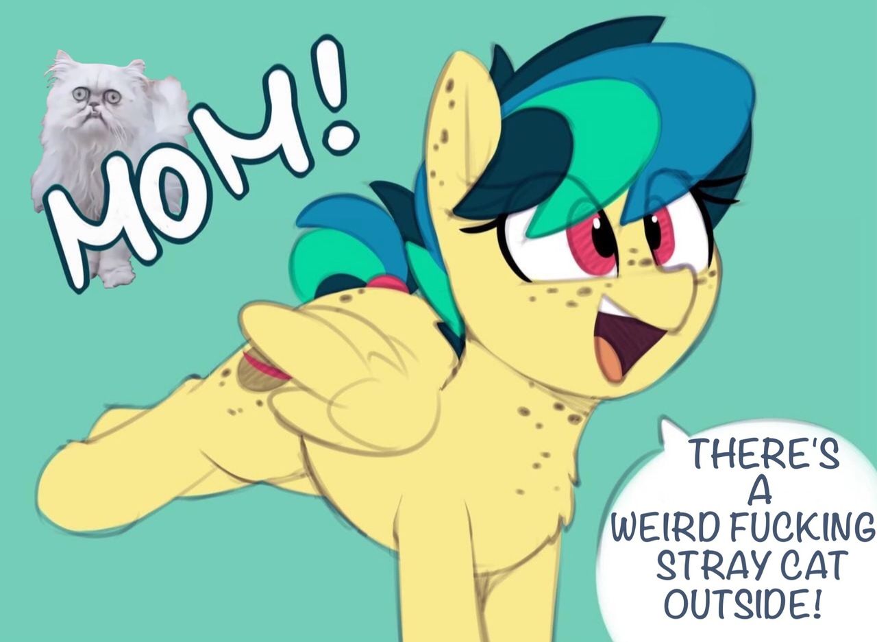 >mfw 10 min after I posted a weird pic of Duddy (never seen that cat before, kinda weird?)