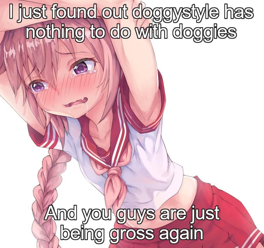 you can use a dog tho