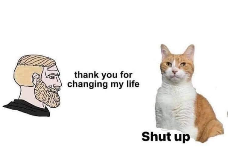 Shut up