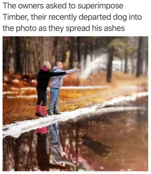 awwh