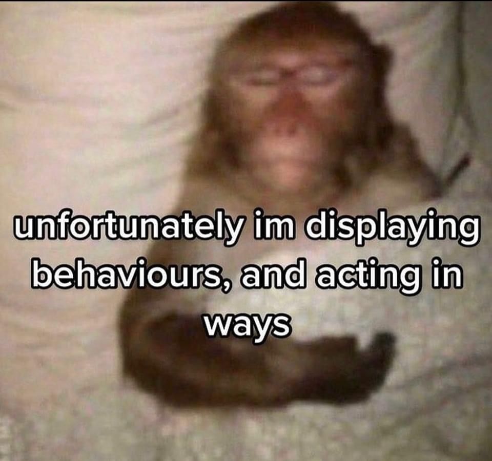 Monke enchantment