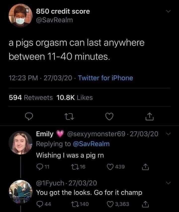 Pig