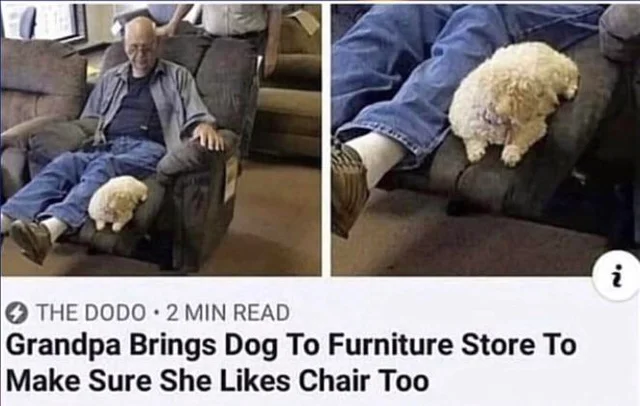 To share cozyness