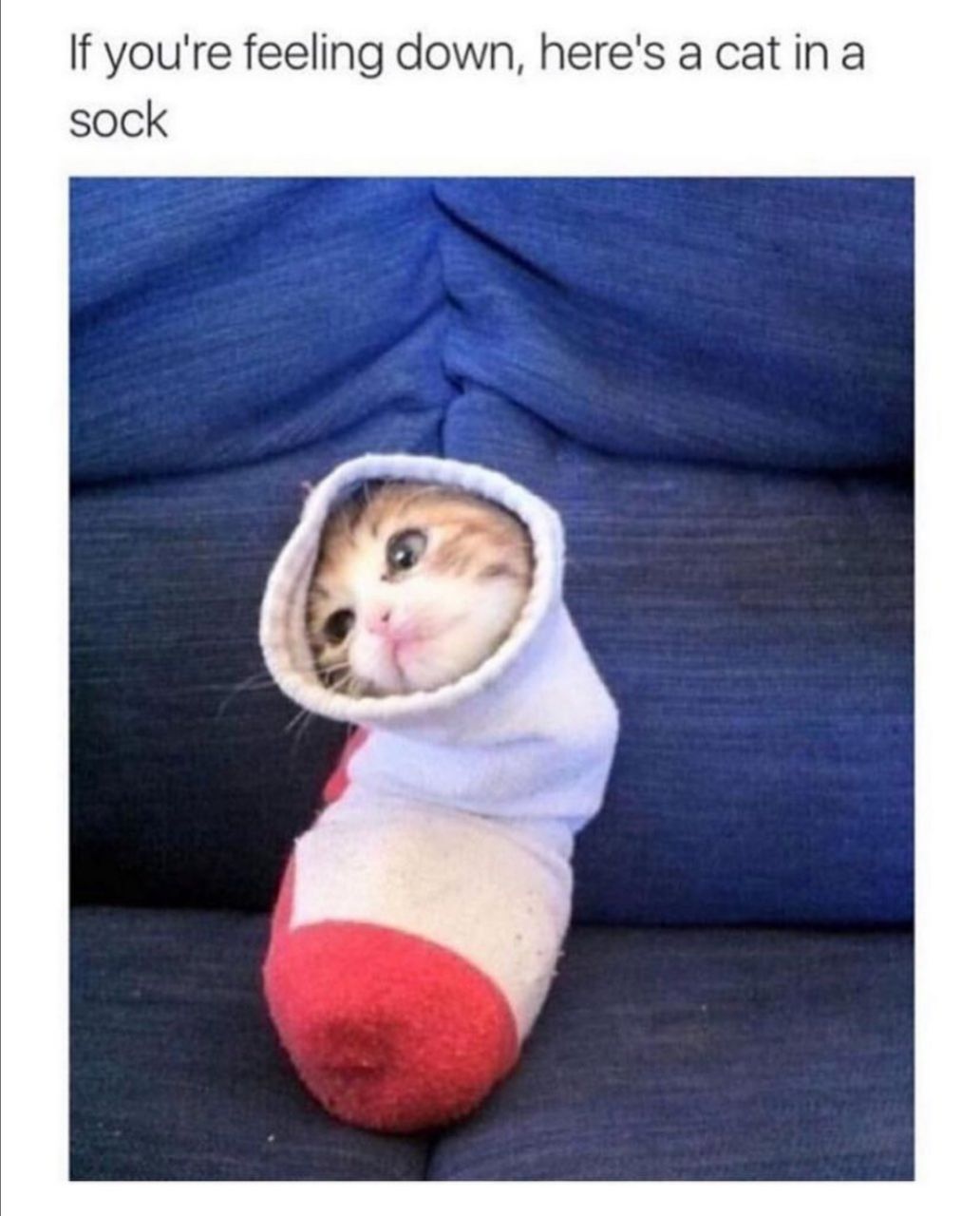 This is cozy