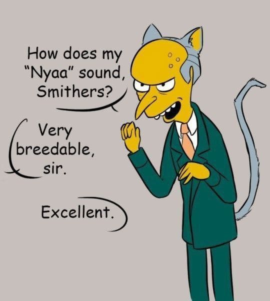 nyaa