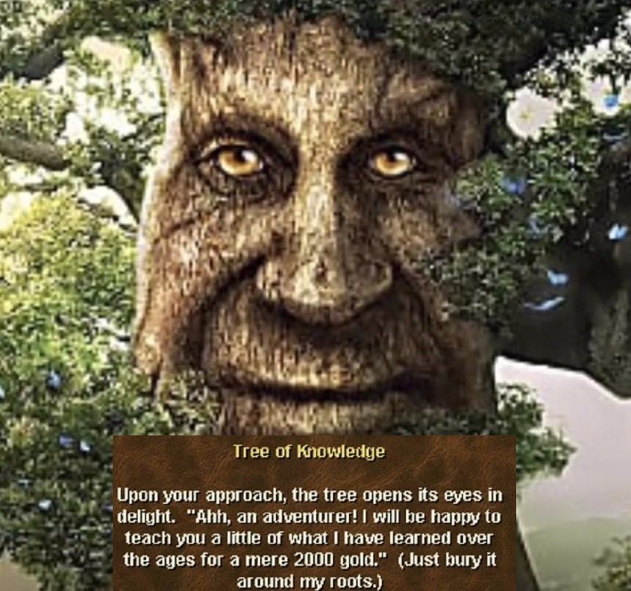 old wise tree