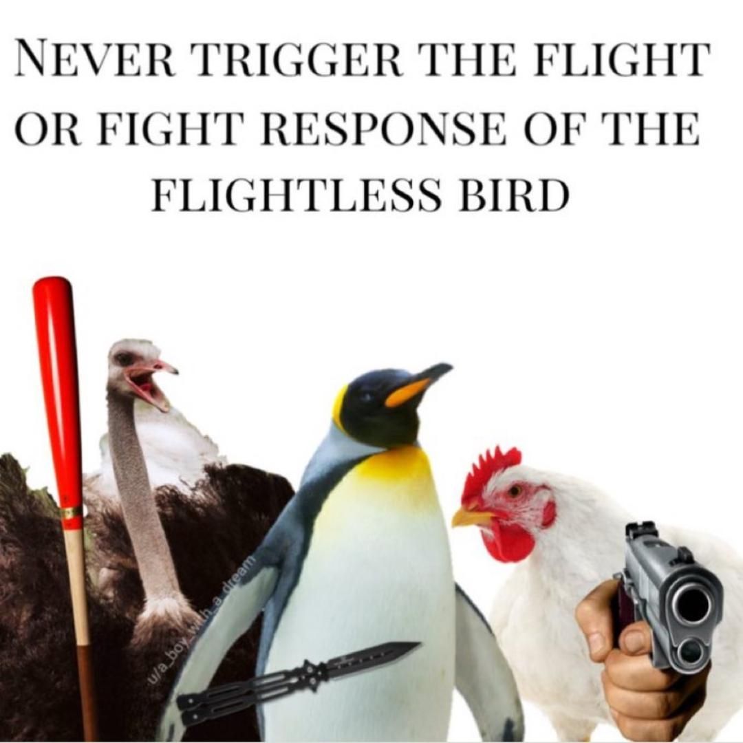 flightless birds
