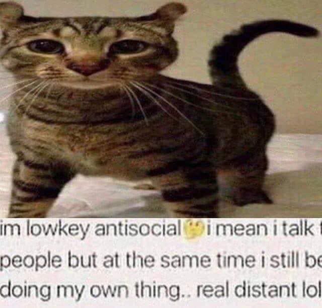 that's schizoid not antisocial btw
