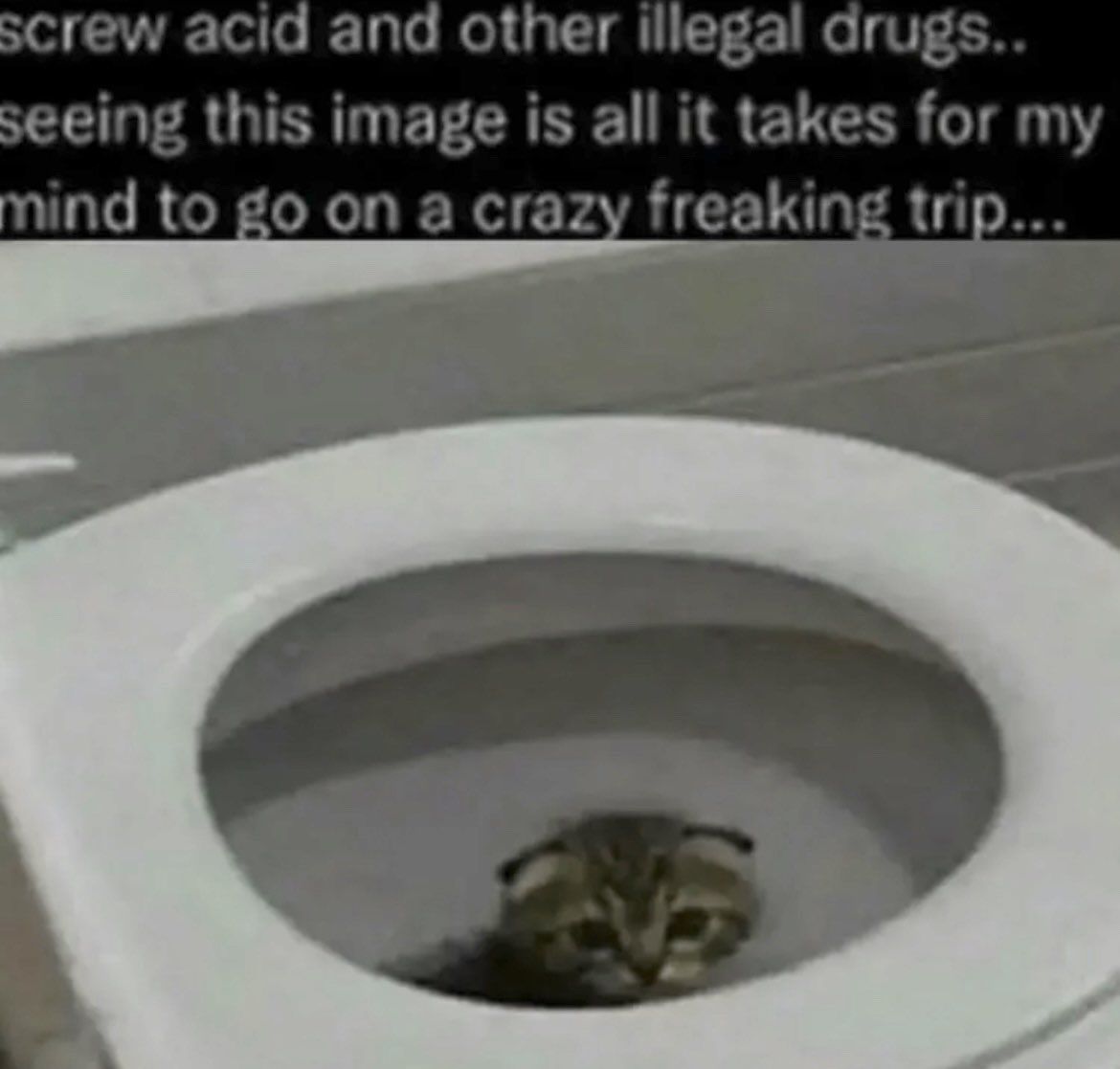 ‎‎‎‎