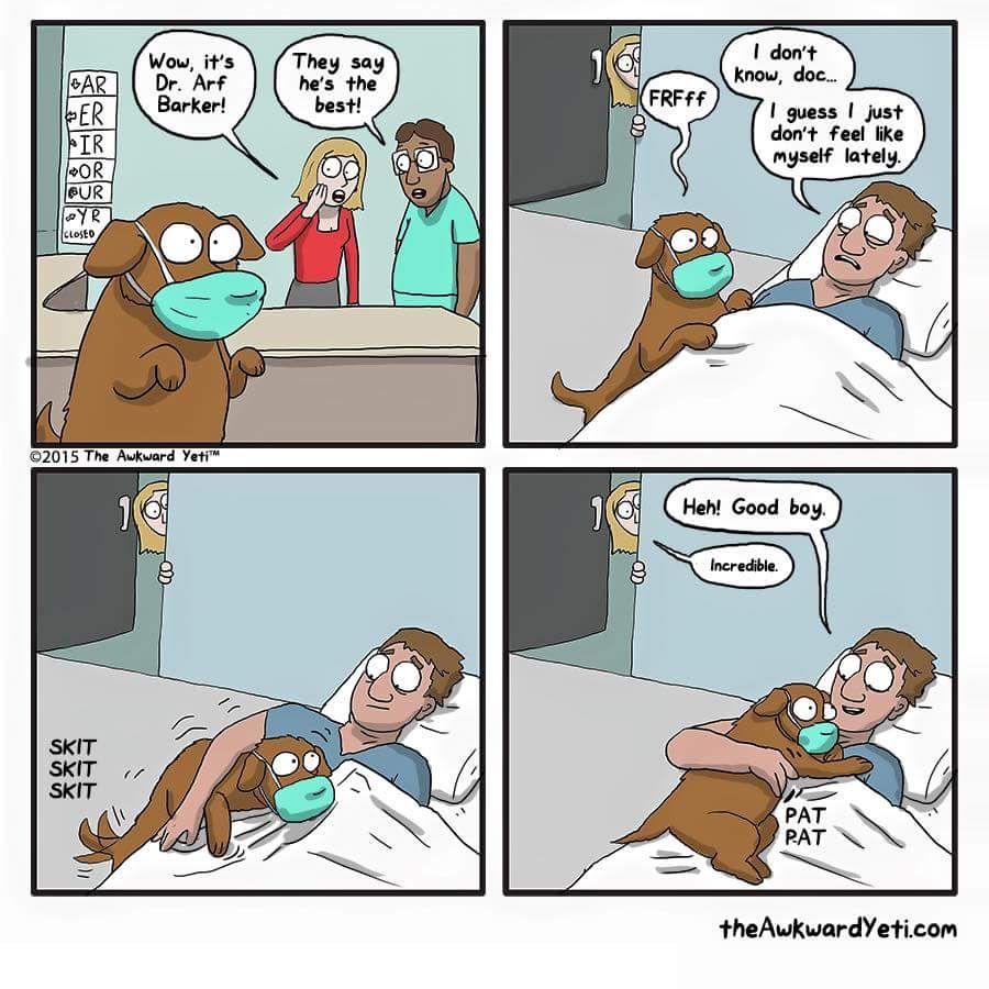 That’s ruff