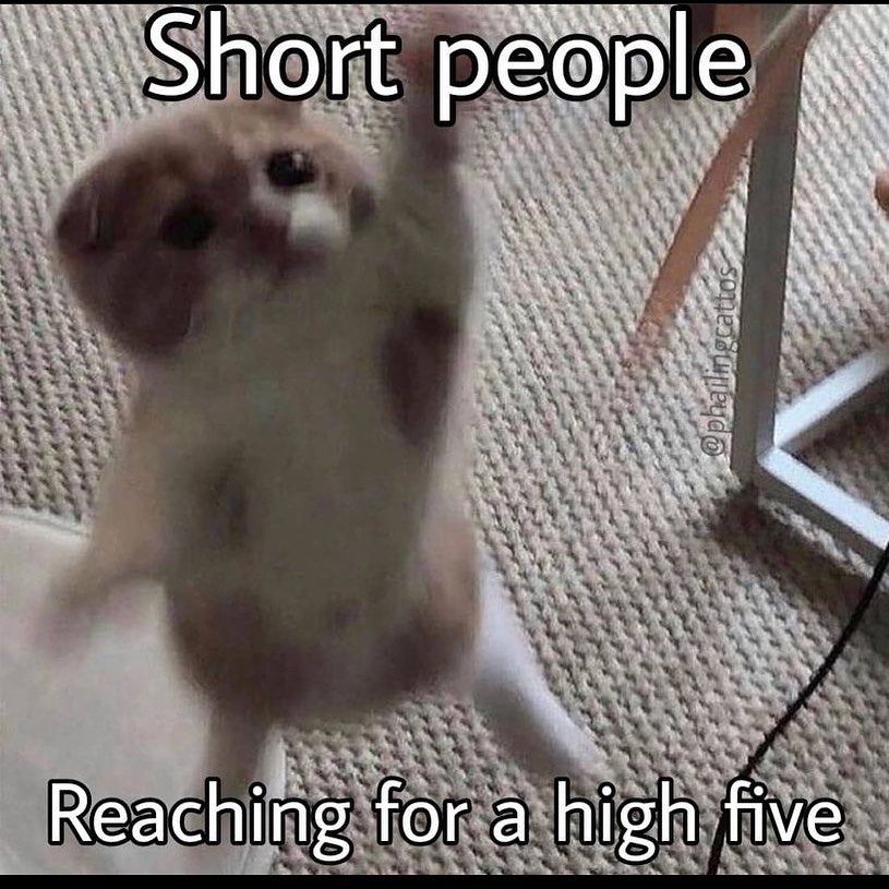 Low five me
